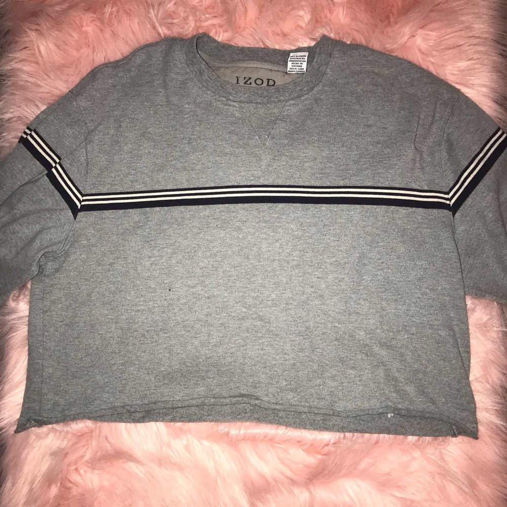 Vintage gray cropped long sleeve